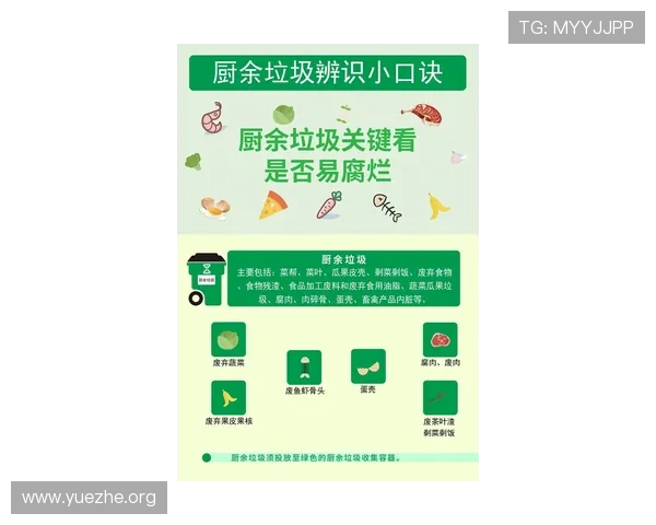 三公规矩实用指南：新手玩家快速掌握游戏礼仪与操作规范的详细教程